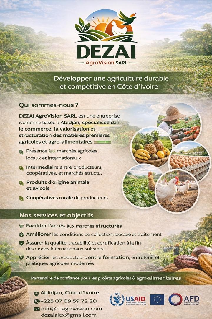 Présentation DEZAI